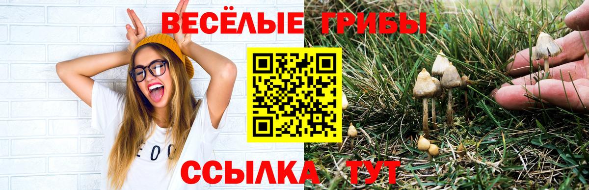 Галлюциногенные грибы Psilocybine cubensis  Псилоцибиновые грибы Magic Shrooms  Дедовск  Вход с VPN 